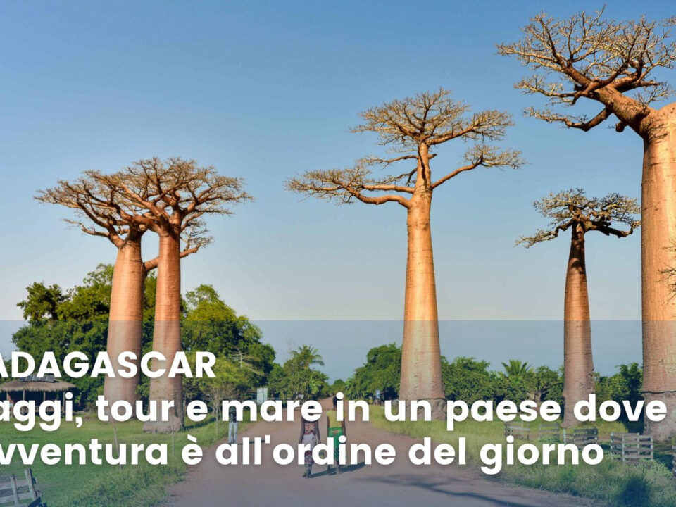 madagascar natura