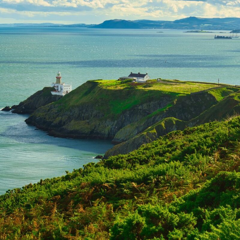 SCOGLIERA IRLANDESE